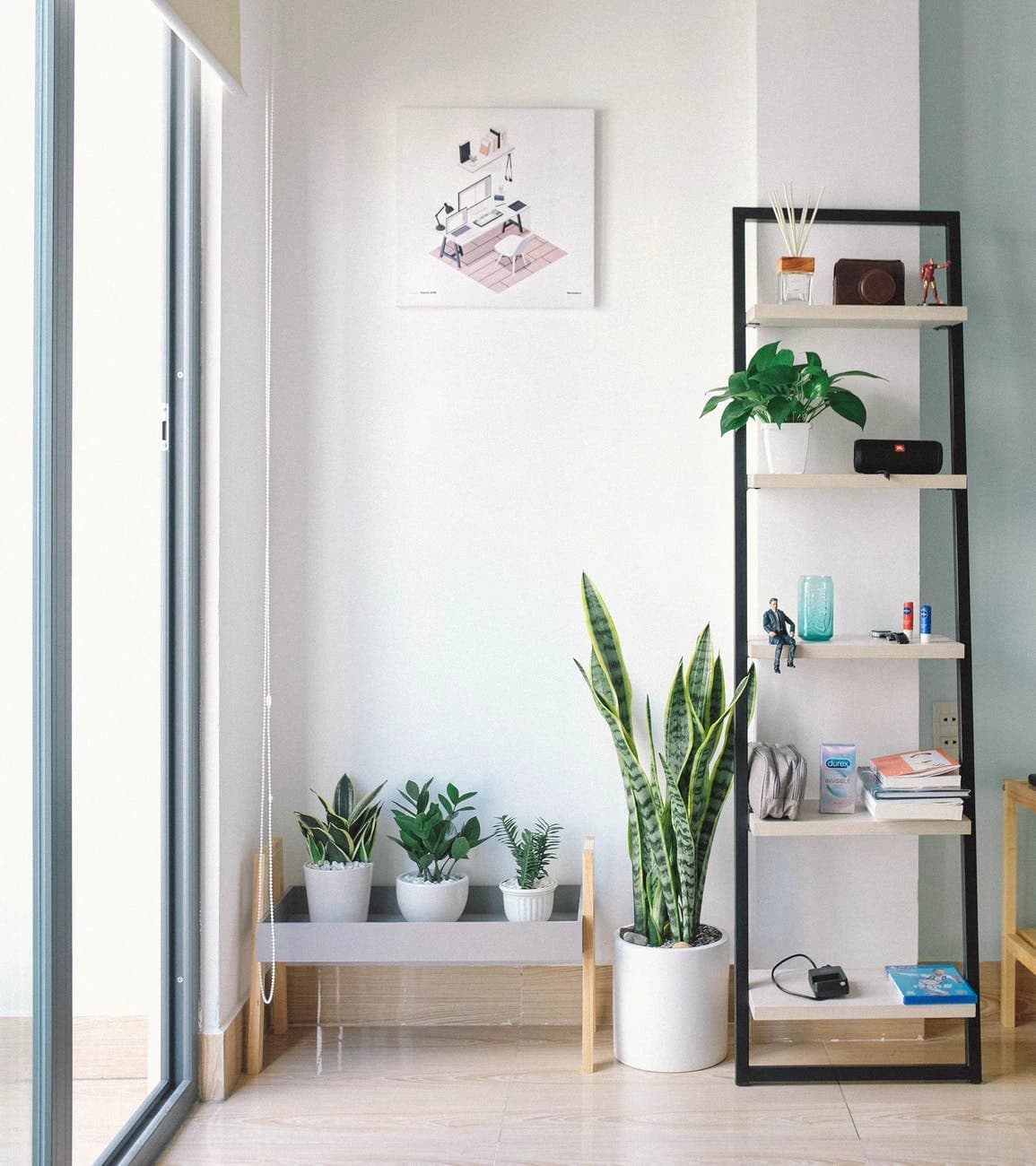 Bright home interior with plants, shelves and soft natural light